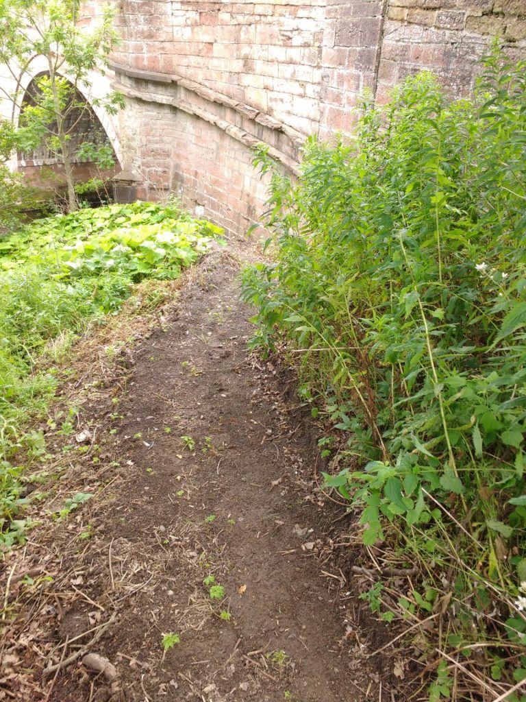 Slope by the bridge