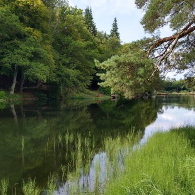 SnrComp 27thJuly Geddes Loch