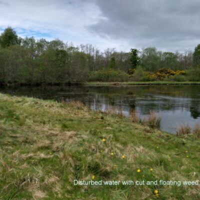 Orrin Lochs weed clearance May 2026
