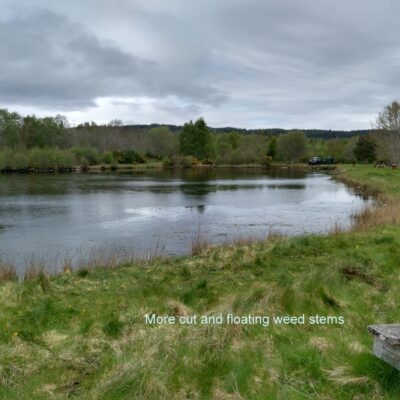 Orrin Lochs weed clearance May 2026